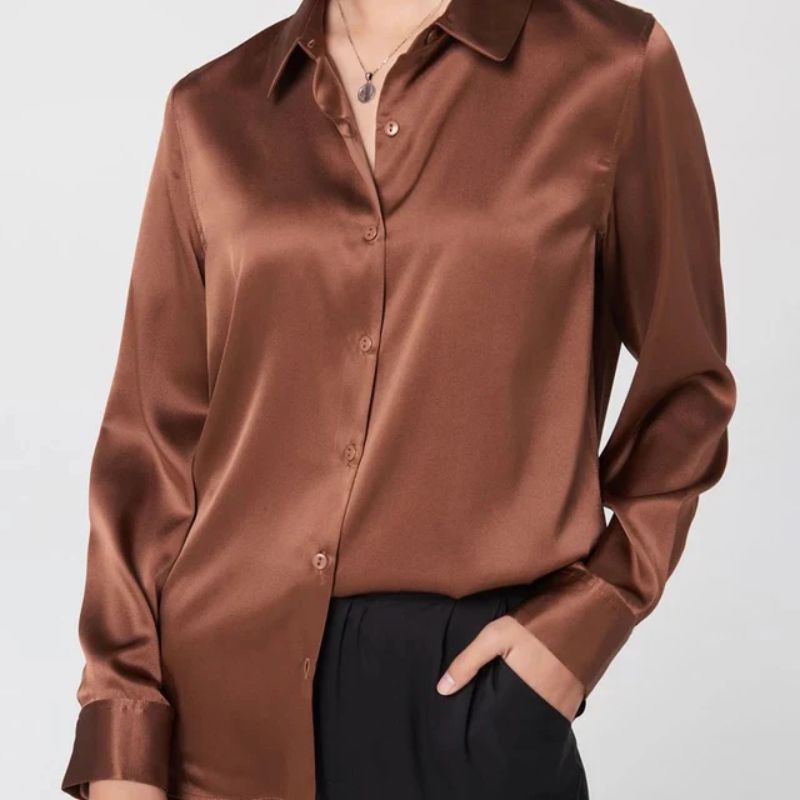 Brown Silk Button-Down Top